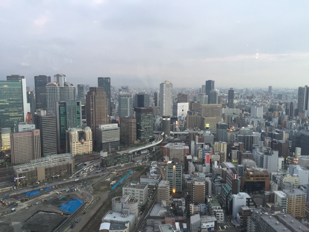 Japón en 15 días, lo imprescindible a todo tren - Blogs de Japon - DIA-1–Llegada a Tokio y viaje a Osaka (4)